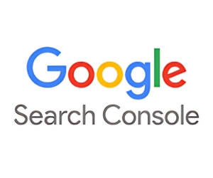 Google-search-console-logo